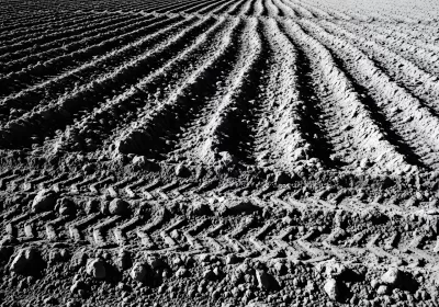 Imagen PNG para descargar